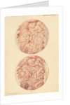 Superficial sore on a human leg by Franz Andreas Bauer