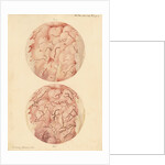 Superficial sore on a human leg by Franz Andreas Bauer