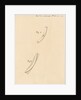 Ribs and chocks in merchant ships by Robert Seppings