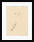 Ribs and chocks in merchant ships by Robert Seppings