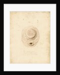 Gastric glands of the dugong by William Clift