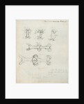 Vertebrae of the spines of birds by Henry Earle