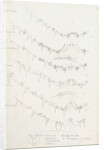 Posterior body margins of female Diaspis, Aulacaspis and Poliapsis by Robert Newstead