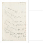 Posterior body margins of female Chionaspis and Mytilaspis by Robert Newstead