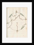Scheme of volcanoes and liquid flow by Antonio Piaggio