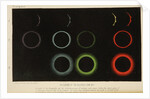 Corona of the eclipsed Sun, 1871 by Cooper & Hodson