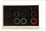 Corona of the eclipsed Sun, 1871 by Cooper & Hodson
