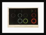 Corona of the eclipsed Sun, 1871 by Cooper & Hodson