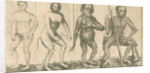 Four 'humanoid' figures from Linnaeus's 'Academic delights' by Anonymous