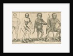 Four 'humanoid' figures from Linnaeus's 'Academic delights' by Anonymous