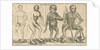 Four 'humanoid' figures from Linnaeus's 'Academic delights' by Anonymous