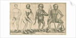 Four 'humanoid' figures from Linnaeus's 'Academic delights' by Anonymous