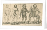 Four 'humanoid' figures from Linnaeus's 'Academic delights' by Anonymous