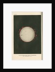 The sun showing spots, faculae, chromosphere, and prominences by Cassell & Co