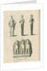Stone antiquities found at Netherby by Anonymous
