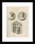 Stone antiquities found at Netherby by Anonymous