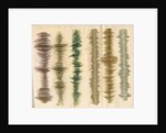 Metallic oxide tints by Anonymous