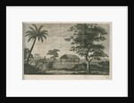A tupapow (tupapau), or burial shed by William Woollett