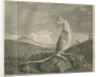 Sighting of a kangaroo by James Cook by Anonymous