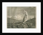 Sighting of a kangaroo by James Cook by Anonymous