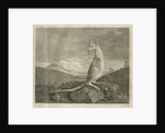 Sighting of a kangaroo by James Cook by Anonymous