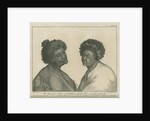 'The Head of a Native of Otaheite, with the Face curiously tataow'd' by Richard Bernard Godfrey