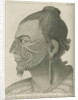 'Head of Otegoowgoow, Son of a New Zealand Chief...' by Thomas Chambers
