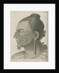 'Head of Otegoowgoow, Son of a New Zealand Chief...' by Thomas Chambers