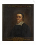 Portrait of William Harvey (1578-1657) by unknown