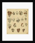 'Red sand, yellow sand & brown sand of the yellow chalk' [specimens of foraminifera] by Henry Bowman Brady