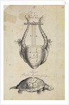 Ancient lyre and tortoise by Thomas Molyneux