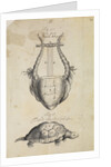 Ancient lyre and tortoise by Thomas Molyneux