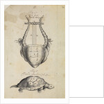 Ancient lyre and tortoise by Thomas Molyneux