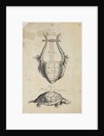 Ancient lyre and tortoise by Thomas Molyneux