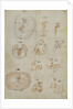 Developmental stages of chicken embryo by Marcello Malpighi