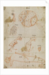 Developmental stages of chicken embryo by Marcello Malpighi