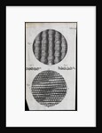 Microscopic view of silk and taffeta by Robert Hooke