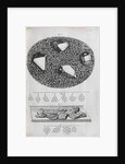 Microscopic views of crystals by Robert Hooke