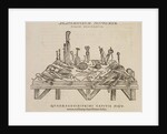 'Anatomicorum instrumentorum delineatio' by Studio of Titian