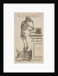 'Humani corporis ossium ex latere delineatio' by Studio of Titian