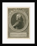 Portrait of Pieter Camper (1722-1789) by Reinier Vinkeles