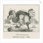 Figure of the Dodo by Anonymous