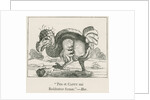 Figure of the Dodo by Anonymous