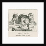 Figure of the Dodo by Anonymous