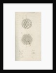 Theoretical stellar structures and a ring nebula by William Herschel