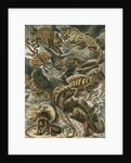 'Lacertilia' [lizards] by Adolf Giltsch