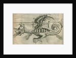 Dragon firework display by Anonymous