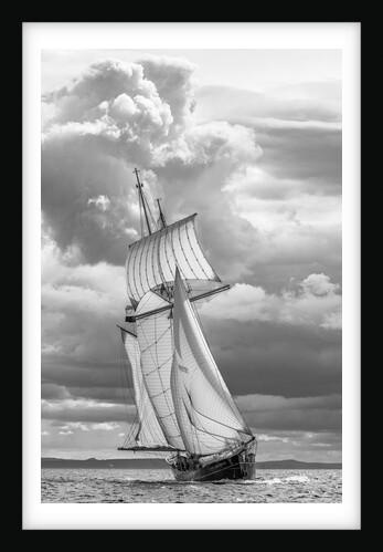 Schooner Wylde Swan by Richard Sibley
