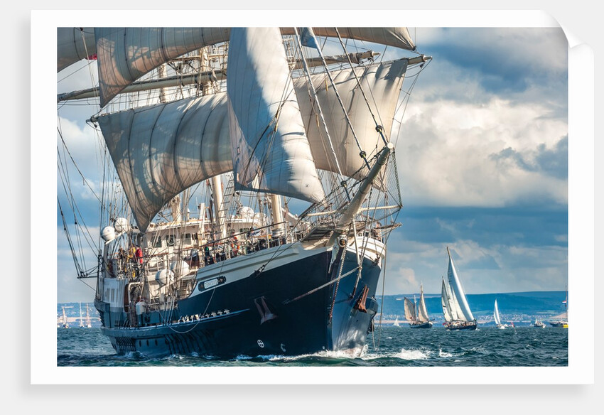 Barque Tenacious by Richard Sibley