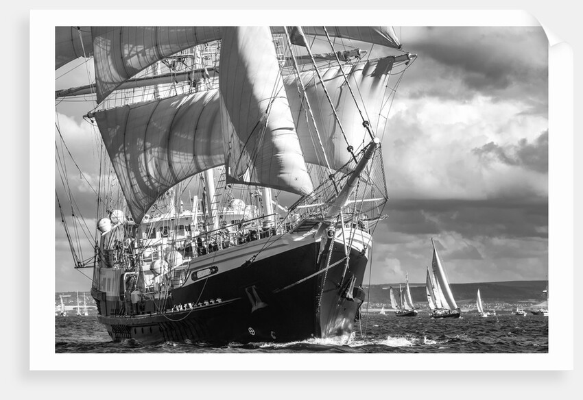 Barque Tenacious by Richard Sibley